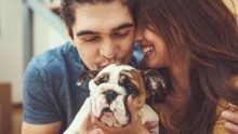 Un chien au bureau - avantages et effets positifs
